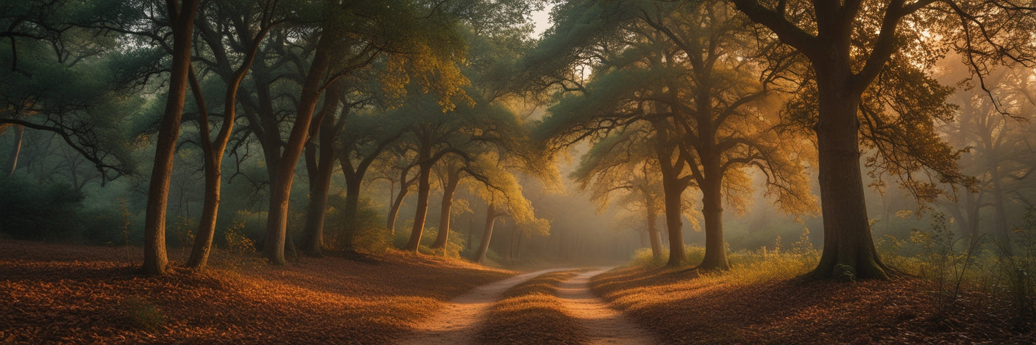 Transcendentalism: The Pursuit of Truth Beyond the Material World